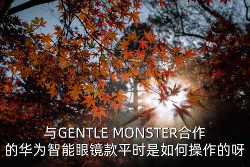 科技智能眼鏡華為怎么用，GENTLE MONSTER華為智能眼鏡如何完成接電話的功能呀
