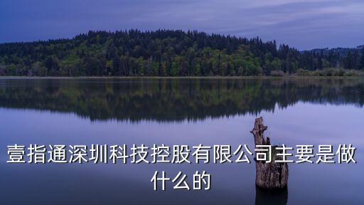 深圳天一智能科技做什么的，壹指通深圳科技控股有限公司主要是做什么的