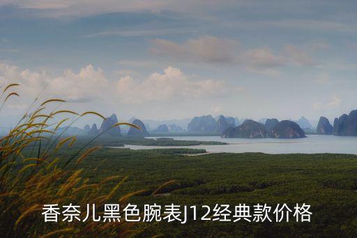 高科技黑色智能手表有哪些，智能手表有哪些品牌的啊
