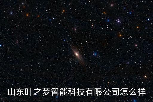 山東葉之夢智能科技有限公司怎么樣