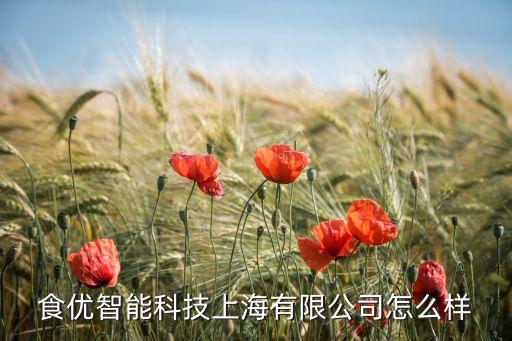 食優(yōu)智能科技上海有限公司怎么樣