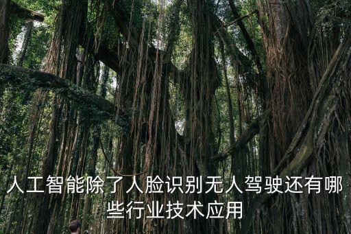 人工智能除了人臉識別無人駕駛還有哪些行業(yè)技術(shù)應(yīng)用