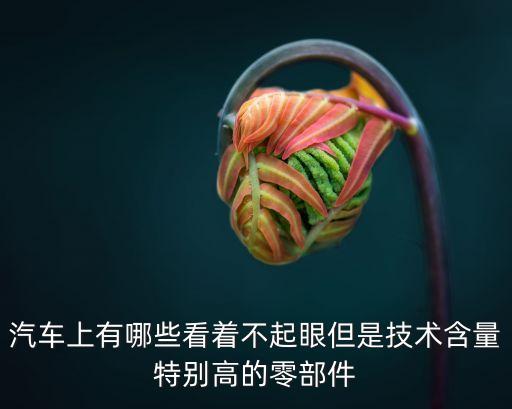 汽車上有哪些看著不起眼但是技術(shù)含量特別高的零部件