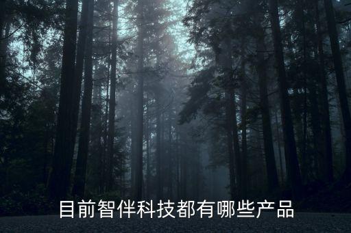 目前智伴科技都有哪些產(chǎn)品