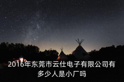 2016年東莞市云仕電子有限公司有多少人是小廠嗎