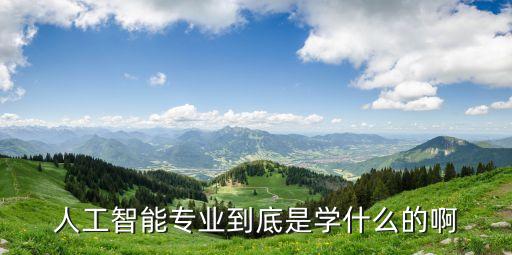 人工智能專業(yè)到底是學(xué)什么的啊