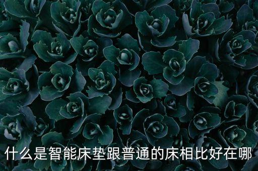 科技智能床的優(yōu)缺點(diǎn)是什么，什么是智能床墊跟普通的床相比好在哪