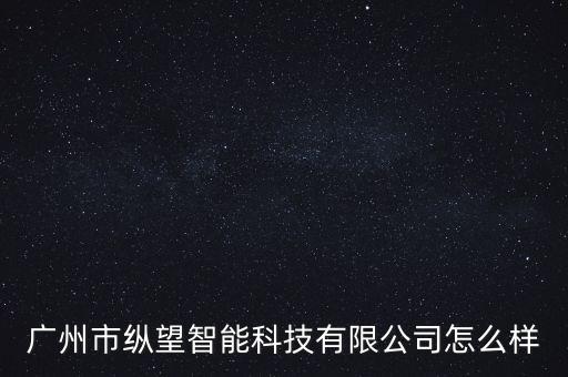 廣州市縱望智能科技有限公司怎么樣