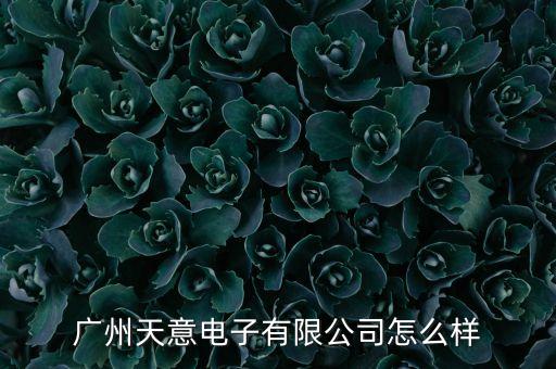 廣州天意電子有限公司怎么樣