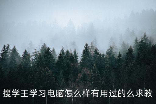 搜學王學習電腦怎么樣有用過的么求教
