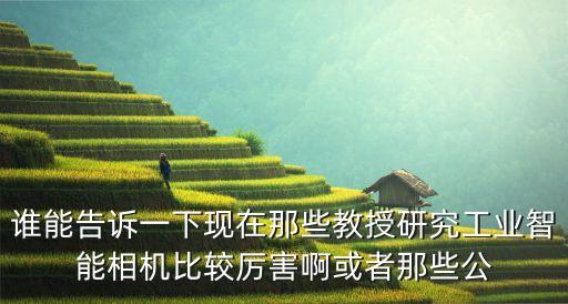 誰能告訴一下現(xiàn)在那些教授研究工業(yè)智能相機(jī)比較厲害啊或者那些公