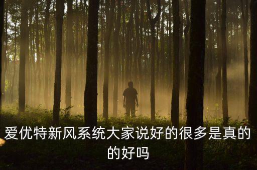 愛優(yōu)特新風(fēng)系統(tǒng)大家說好的很多是真的的好嗎