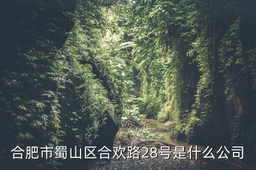 合肥市蜀山區(qū)合歡路28號是什么公司
