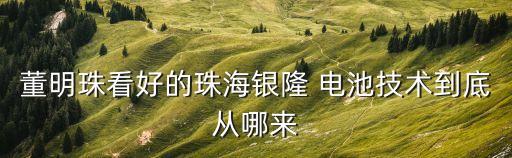 董明珠看好的珠海銀隆 電池技術(shù)到底從哪來(lái)