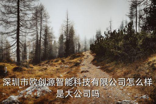 深圳市歐創(chuàng)源智能科技有限公司怎么樣是大公司嗎