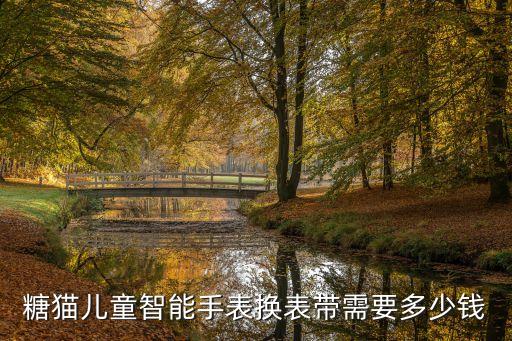 糖貓兒童智能手表換表帶需要多少錢