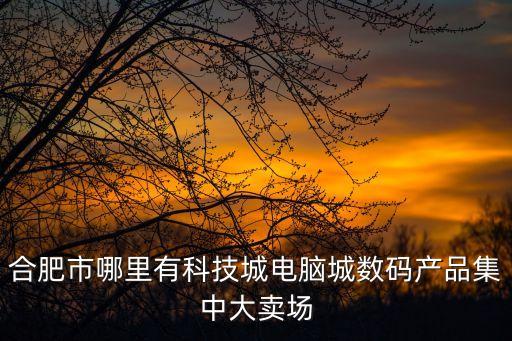 合肥市哪里有科技城電腦城數(shù)碼產(chǎn)品集中大賣場