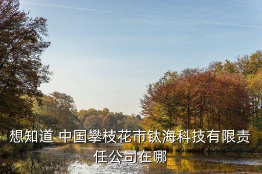 想知道 中國攀枝花市鈦?？萍加邢挢?zé)任公司在哪