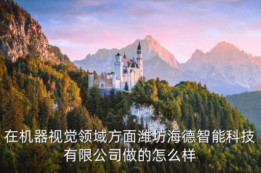 在機(jī)器視覺領(lǐng)域方面濰坊海德智能科技有限公司做的怎么樣