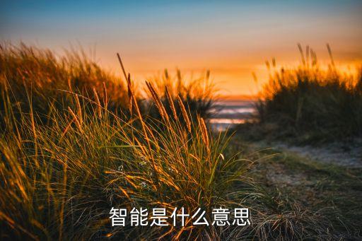 智能是什么意思