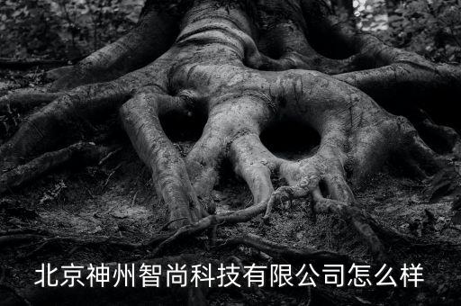 神州智能科技怎么樣，北京神州智尚科技有限公司怎么樣