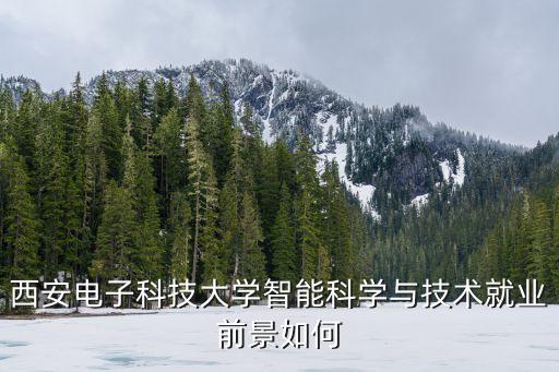 西安電子科技大學(xué)智能科學(xué)與技術(shù)就業(yè)前景如何