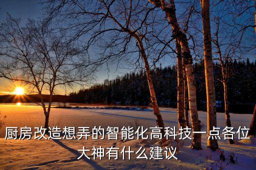智能廚房的高科技有哪些，現(xiàn)今廚房中都有哪些電子產(chǎn)品被使用