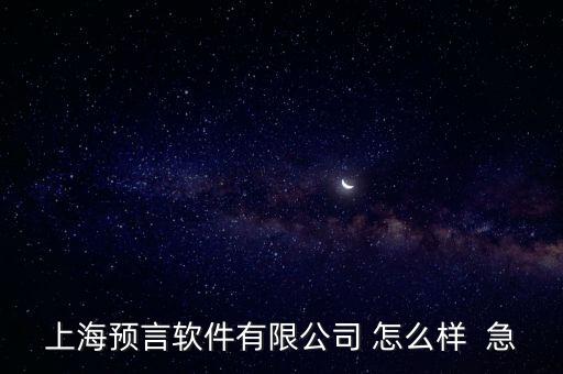 上海預(yù)言軟件有限公司 怎么樣  急