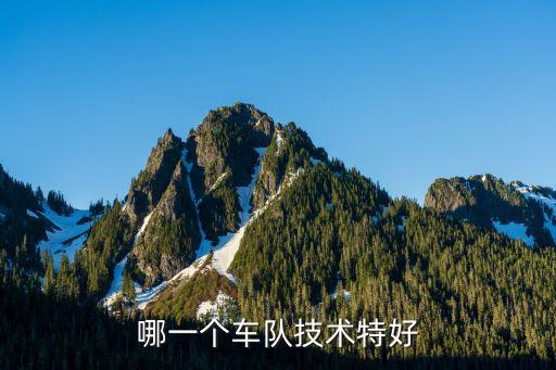 哪一個車隊技術特好