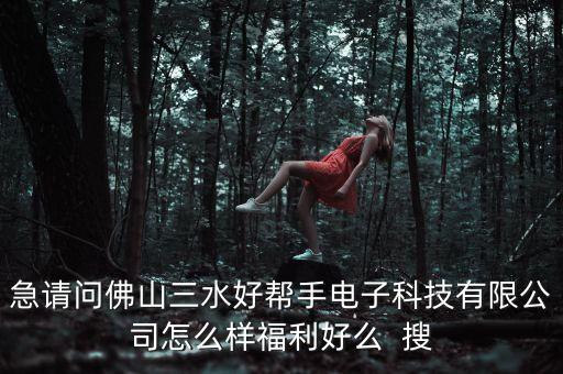 三水智能科技公司有哪些，急請(qǐng)問(wèn)佛山三水好幫手電子科技有限公司怎么樣福利好么  搜
