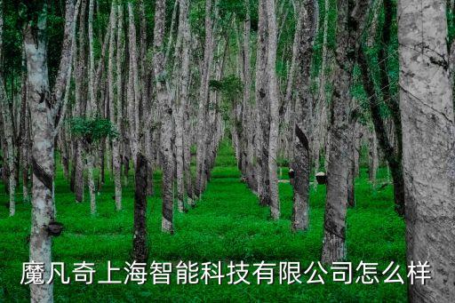 魔點(diǎn)智能科技怎么樣，魔點(diǎn)是什么