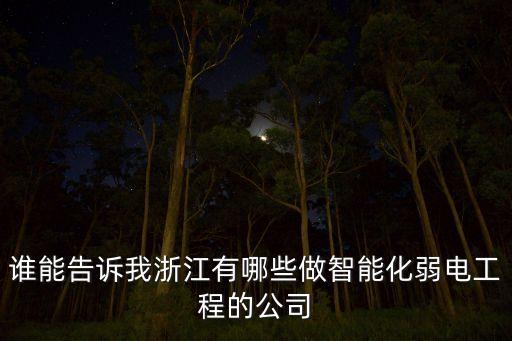 杭州有哪些智能科技公司，在杭州本地可以做智能化的公司有哪些