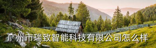 廣州市瑞致智能科技有限公司怎么樣