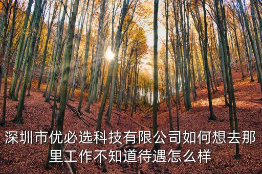 深圳市優(yōu)必選科技有限公司如何想去那里工作不知道待遇怎么樣