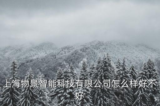 上海物景智能科技有限公司怎么樣好不好