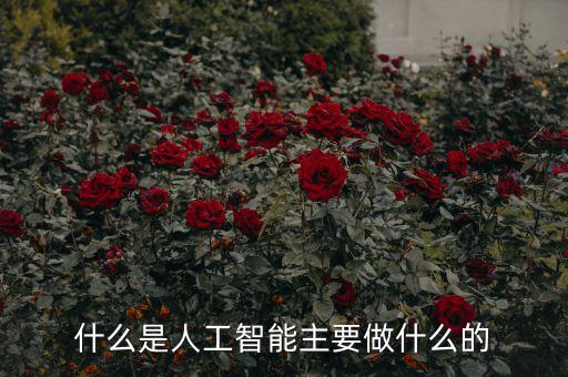 人工智能科技是做什么，人工智能是干什么的