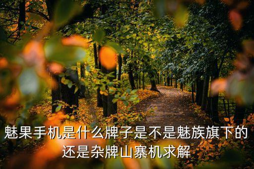 魅果手機(jī)是什么牌子是不是魅族旗下的還是雜牌山寨機(jī)求解