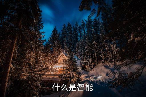 智能科技是什么含義，有哪個(gè)翻譯高手知道智能科技的英譯及縮寫先謝了
