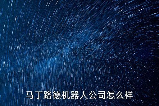馬丁路德機(jī)器人公司怎么樣
