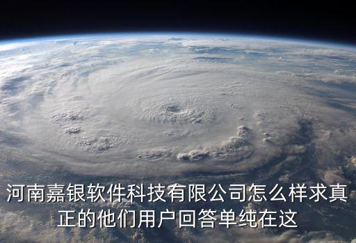 河南嘉銀軟件科技有限公司怎么樣求真正的他們用戶回答單純在這