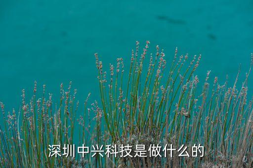 深圳中興科技是做什么的