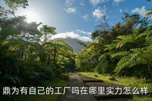 鼎為有自己的工廠嗎在哪里實力怎么樣