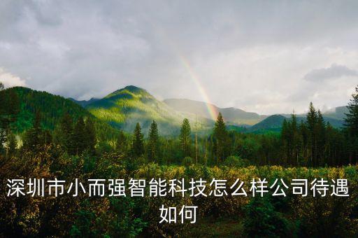深圳市小而強(qiáng)智能科技怎么樣公司待遇如何