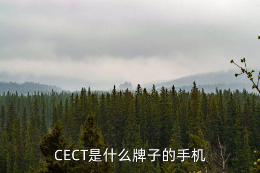 CECT是什么牌子的手機(jī)