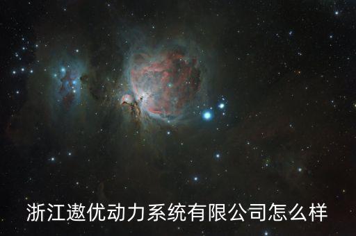 浙江遨優(yōu)動(dòng)力系統(tǒng)有限公司怎么樣
