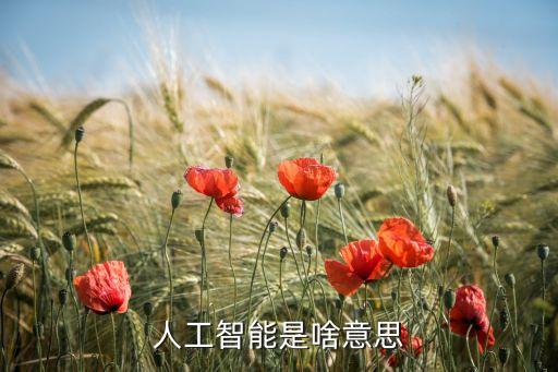 人工智能是啥意思