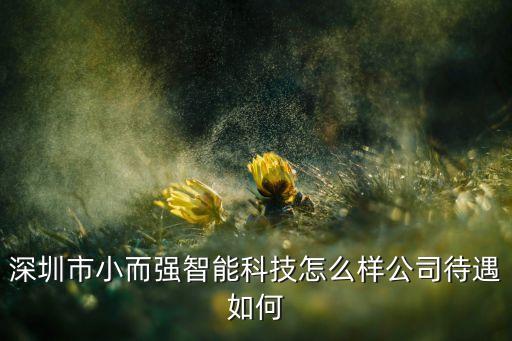 深圳市小而強(qiáng)智能科技怎么樣公司待遇如何