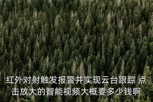 紅外對射觸發(fā)報警并實現(xiàn)云臺跟蹤 點(diǎn)擊放大的智能視頻大概要多少錢啊