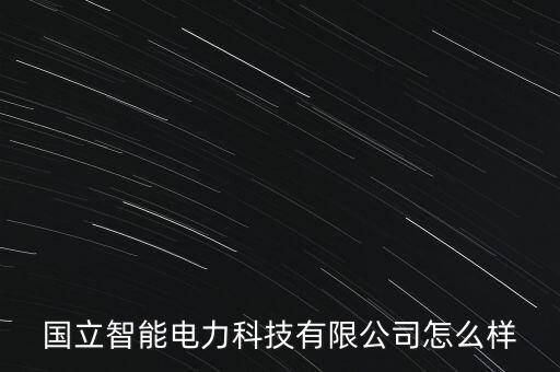 國立智能電力科技有限公司怎么樣