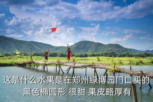 這是什么水果是在鄭州綠博園門(mén)口買(mǎi)的 黑色橢圓形 很甜 果皮略厚有